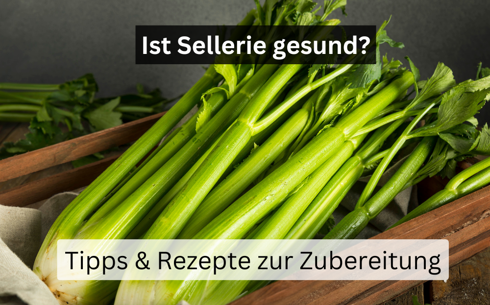 Ist Sellerie gesund?